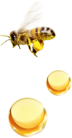 Melvita - Bij met honingdruppels