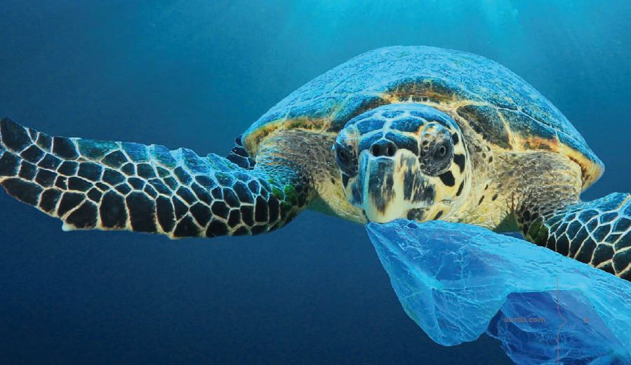 Plastic Soup | Van Oordt