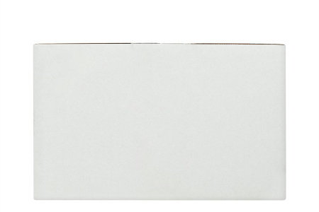 Fruitbeleg Bosbes Stick 15g